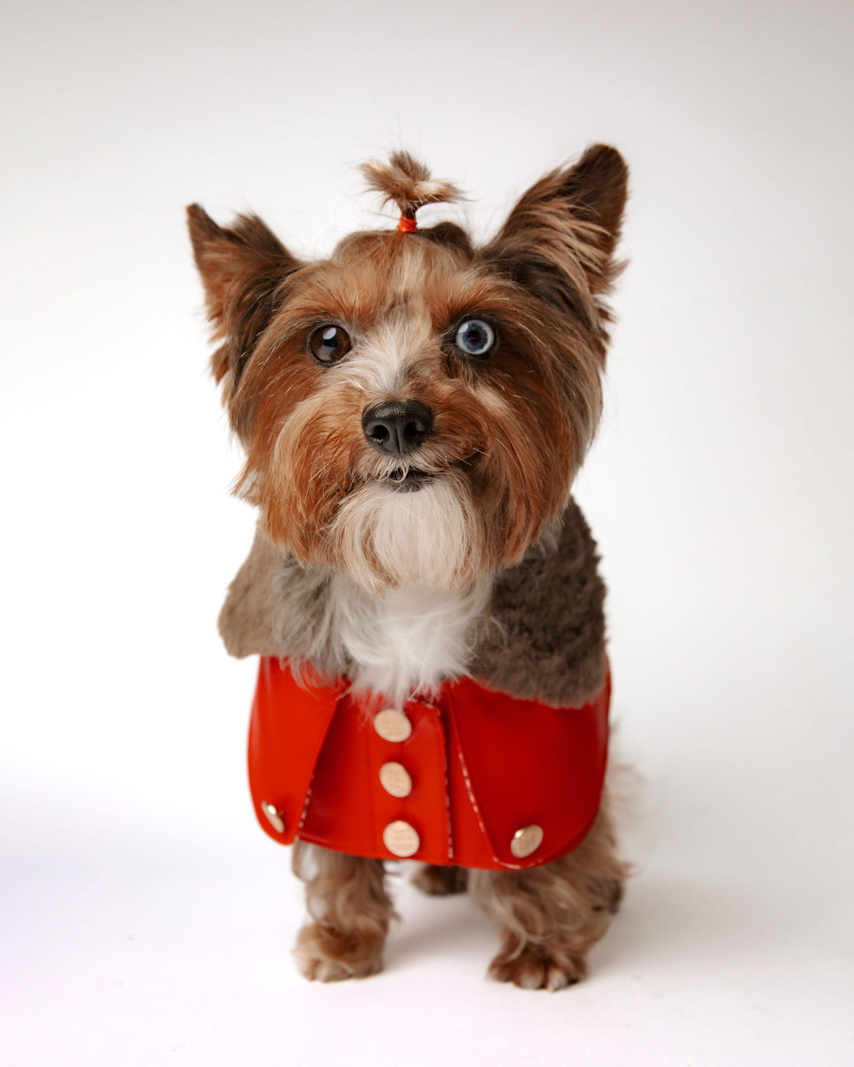 The Vendôme Coat