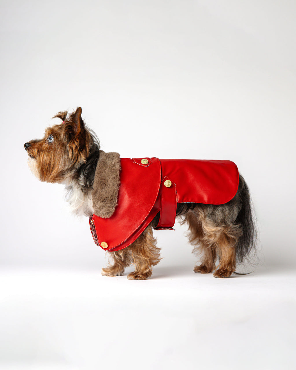 The Vendôme Coat