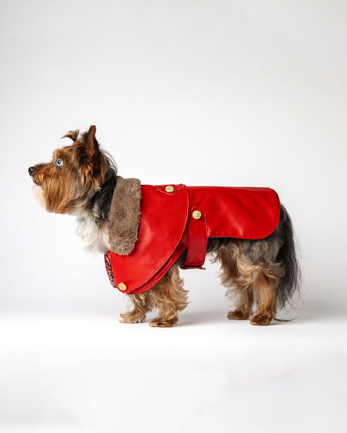 The Vendôme Coat