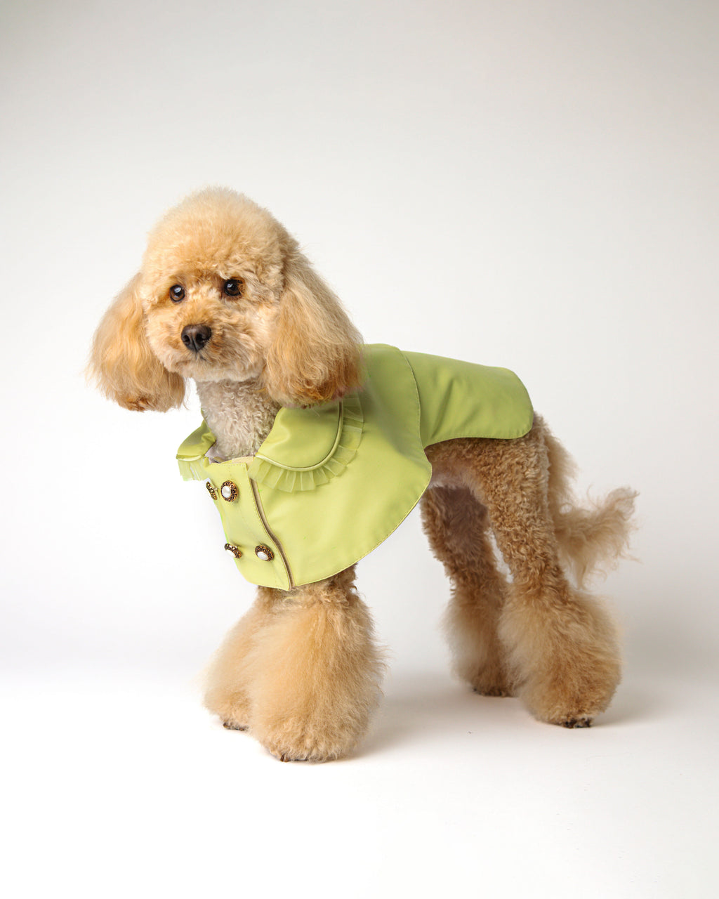 The Heiress Poncho