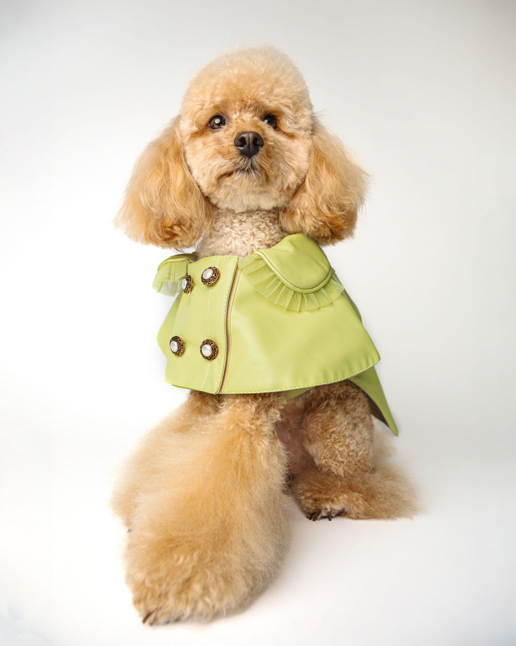 The Heiress Poncho