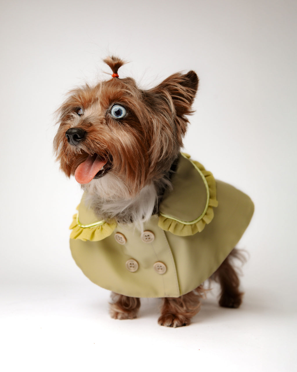 The Heiress Poncho