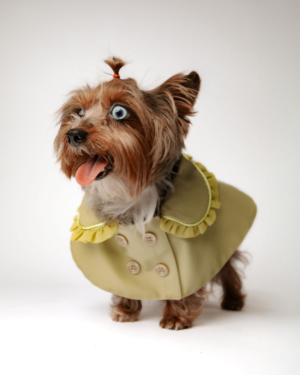 The Heiress Poncho