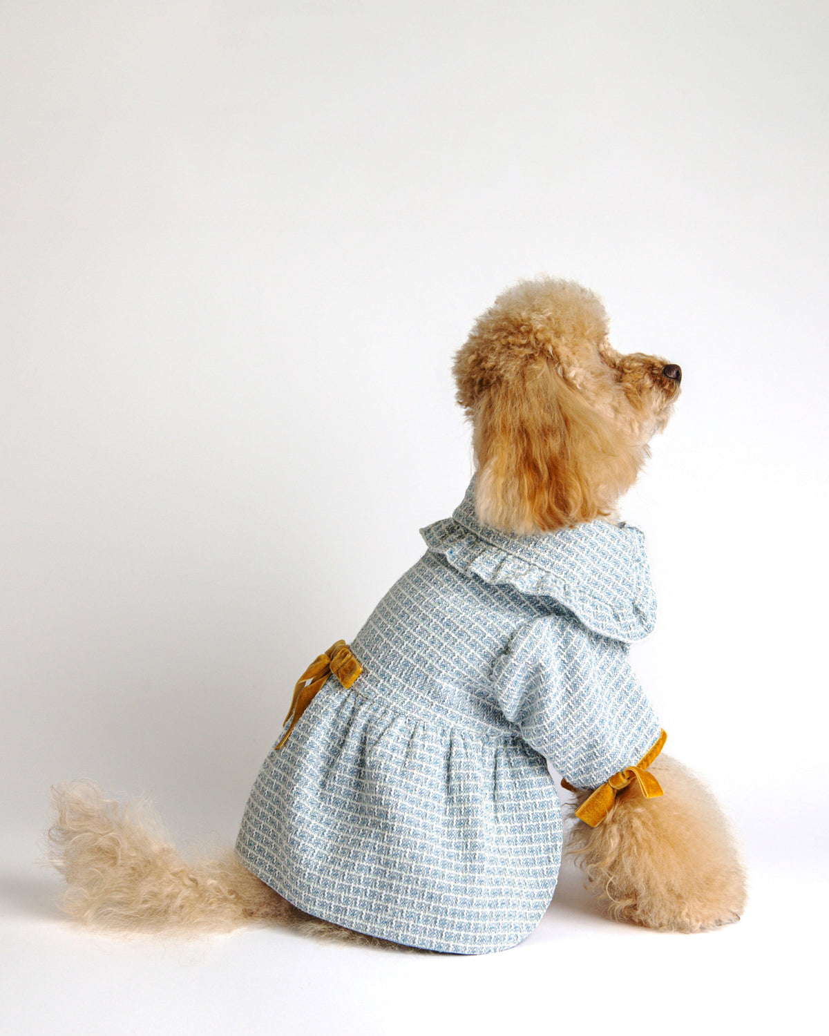 The Mirabella Dress